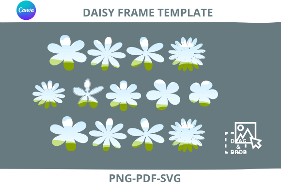 Daisy Canva Frame Template Drag and Drop