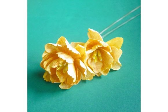 Double Dyed Dutch Tulip: A Designer's Real-World Review