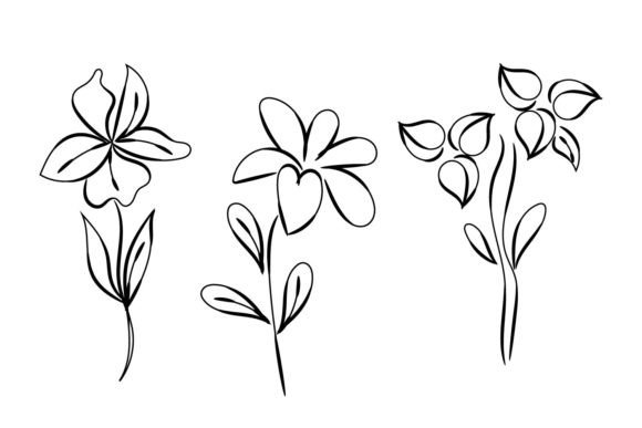 Elegant Floral Ornaments Review