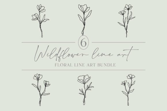 Flower Line Art Wildflower Bundle of 6 Review