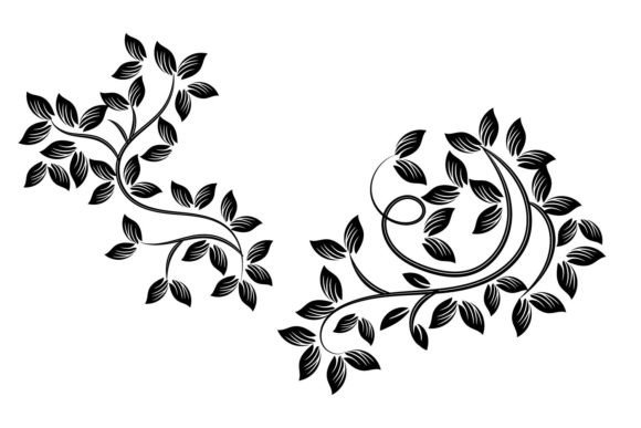 Ornamental Dividers Cute Floral Review